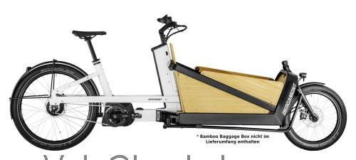 Bergamont E-Cargoville LJ Expert specificaties en beoordelingen